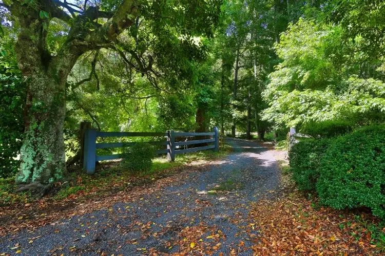 Fourth view of Homely rural property listing, 594 Brush Creek Road, Cedar Brush Creek NSW 2259