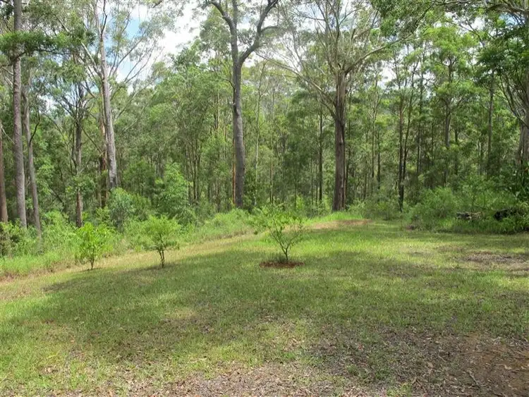 Main view of Homely land listing, 487 Neill Road, Mooloolah Valley QLD 4553