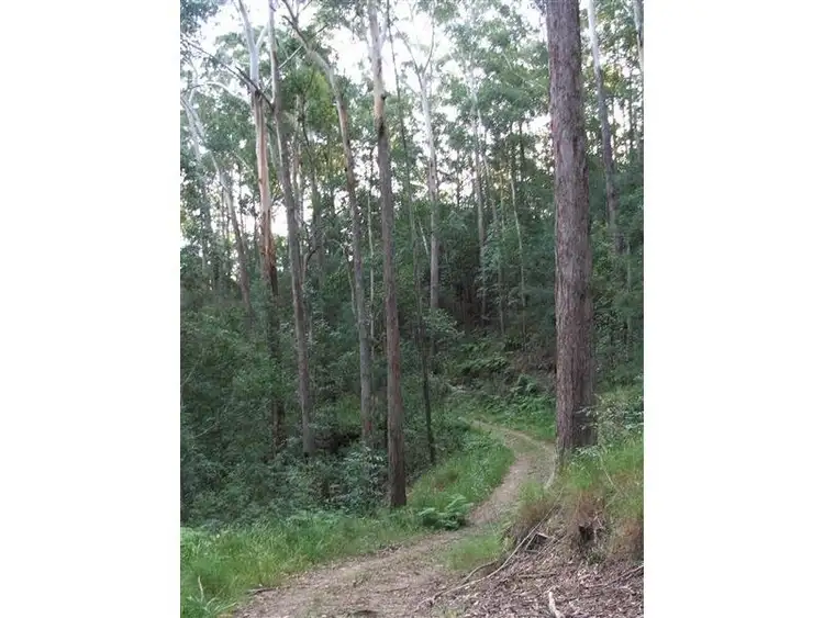 Fourth view of Homely land listing, 487 Neill Road, Mooloolah Valley QLD 4553