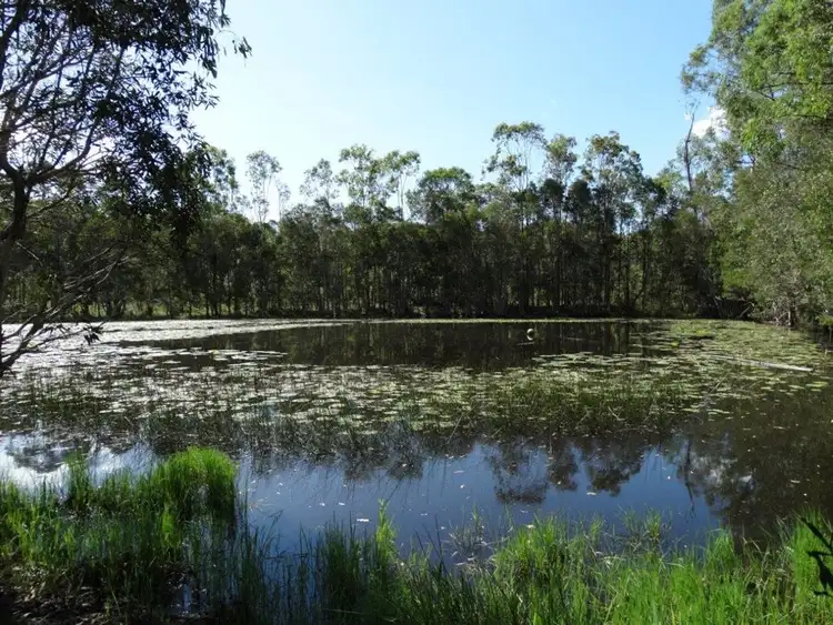 Fourth view of Homely rural property listing, 1016 Monduran Road, Yandaran QLD 4673