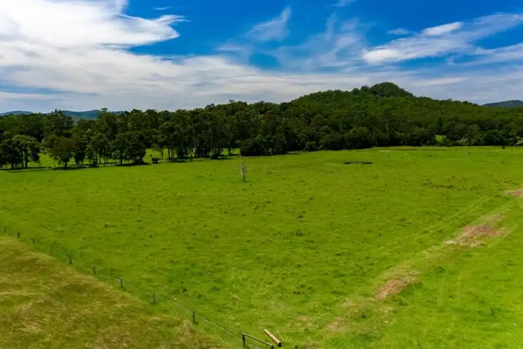Seventh view of Homely land listing, 1189 Dooralong Road, Dooralong NSW 2259