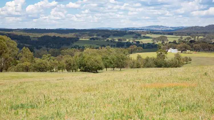 148 Scotts Gully Road, Tenterfield NSW 2372