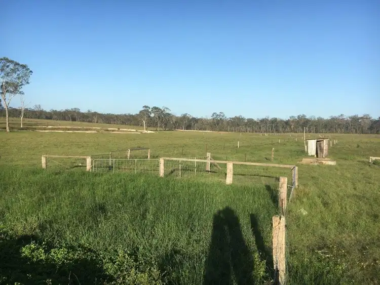 Seventh view of Homely rural property listing, 335 Winfield Road, Watalgan QLD 4670
