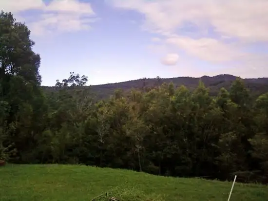 Main view of Homely rural property listing, Address available on request