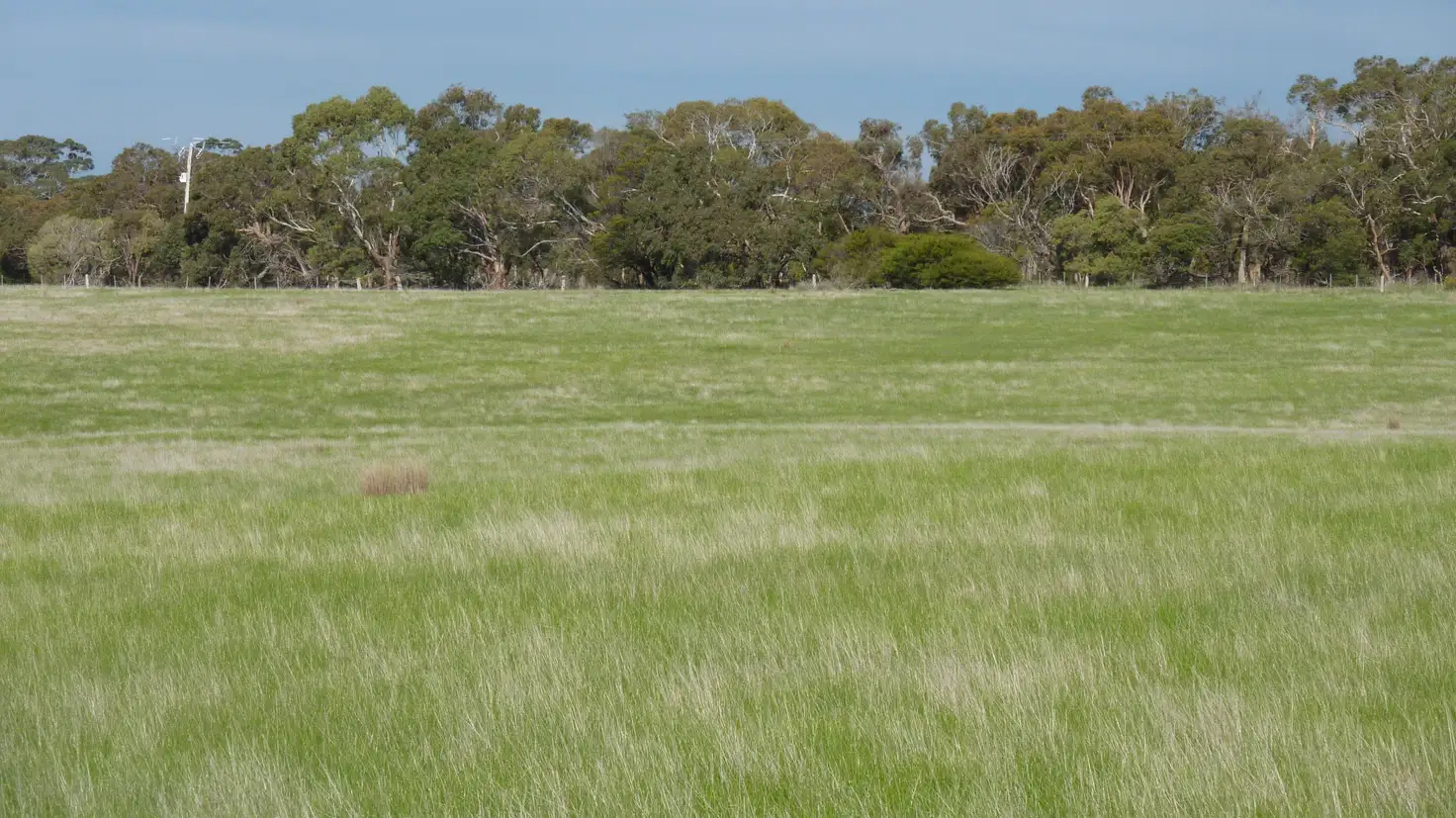 Main view of Homely rural property listing, Lot 27 Taylor Road (Cnr Steiglitz Rd), Meredith VIC 3333