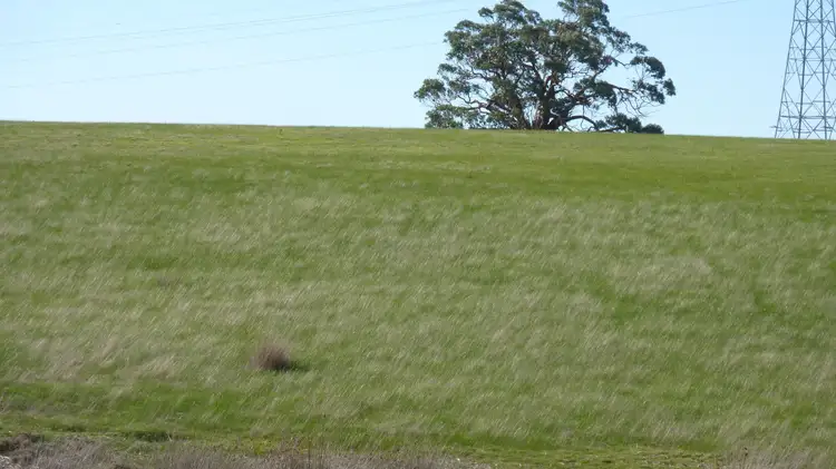 Fourth view of Homely rural property listing, Lot 27 Taylor Road (Cnr Steiglitz Rd), Meredith VIC 3333