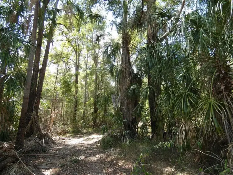 Lot 44 Tableland Road, Mount Maria QLD 4674