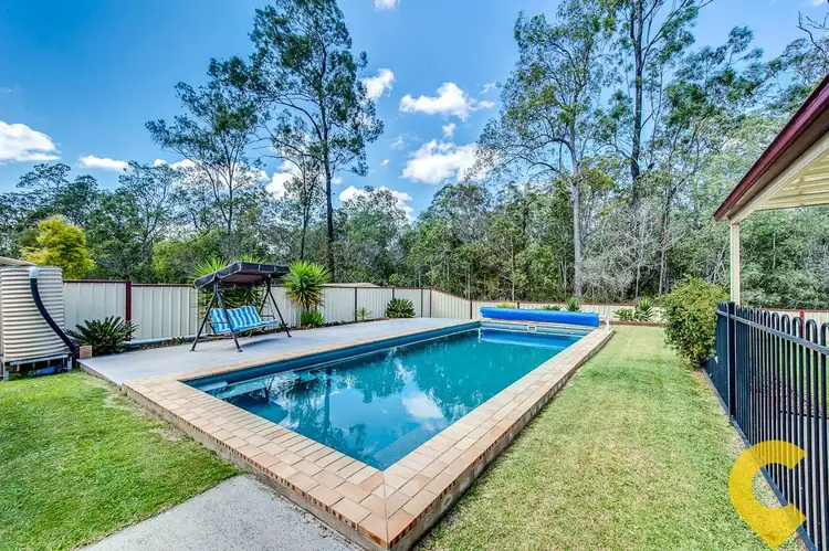 Main view of Homely house listing, 56 Cottonwood Street, Jimboomba QLD 4280