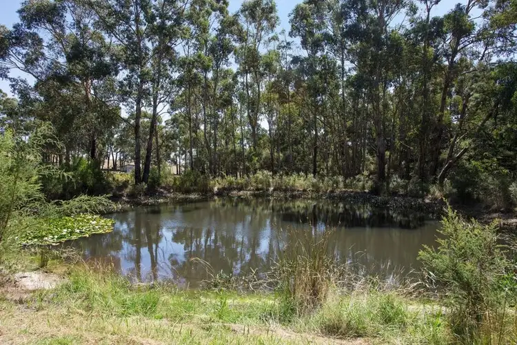 Second view of Homely rural property listing, 30 Hoveys Rd, Barongarook West VIC 3249