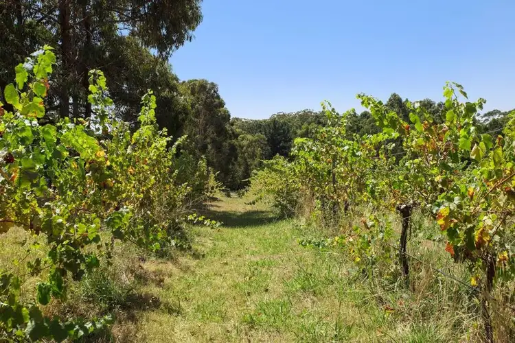Third view of Homely rural property listing, 30 Hoveys Rd, Barongarook West VIC 3249
