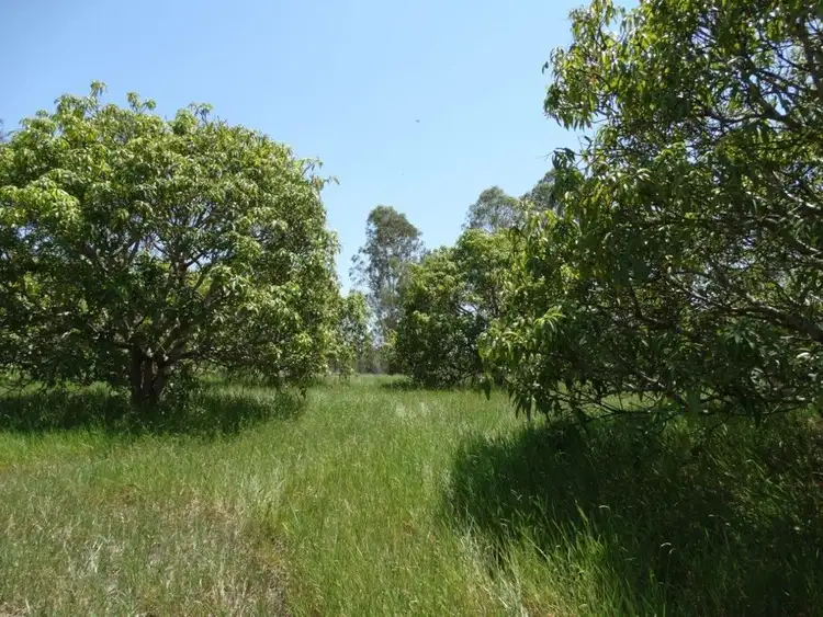 Seventh view of Homely rural property listing, 434 Cross Road, Euleilah QLD 4674