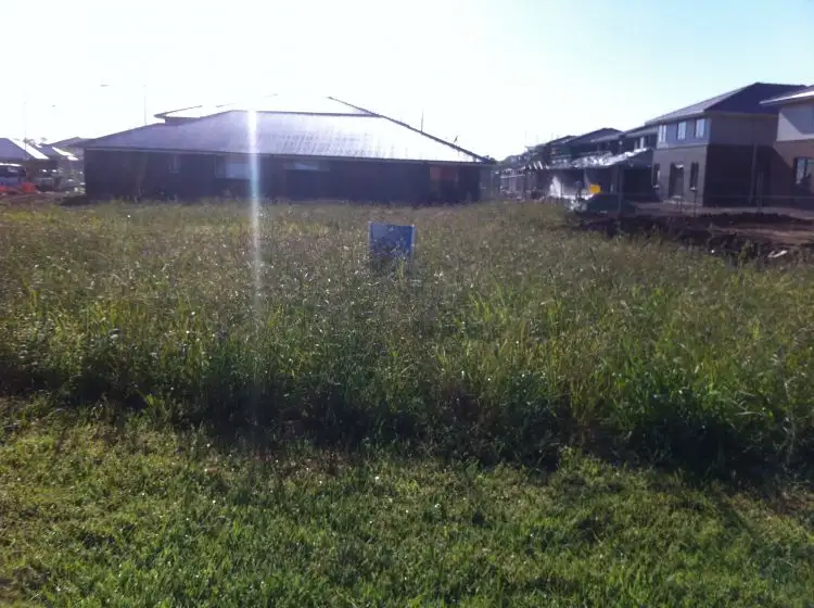 61 Ridgeline Drive, The Ponds NSW 2769