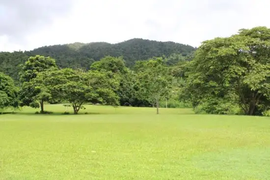 Fourth view of Homely land listing, 14 Christian Street, Babinda QLD 4861
