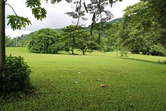 Sixth view of Homely land listing, 14 Christian Street, Babinda QLD 4861