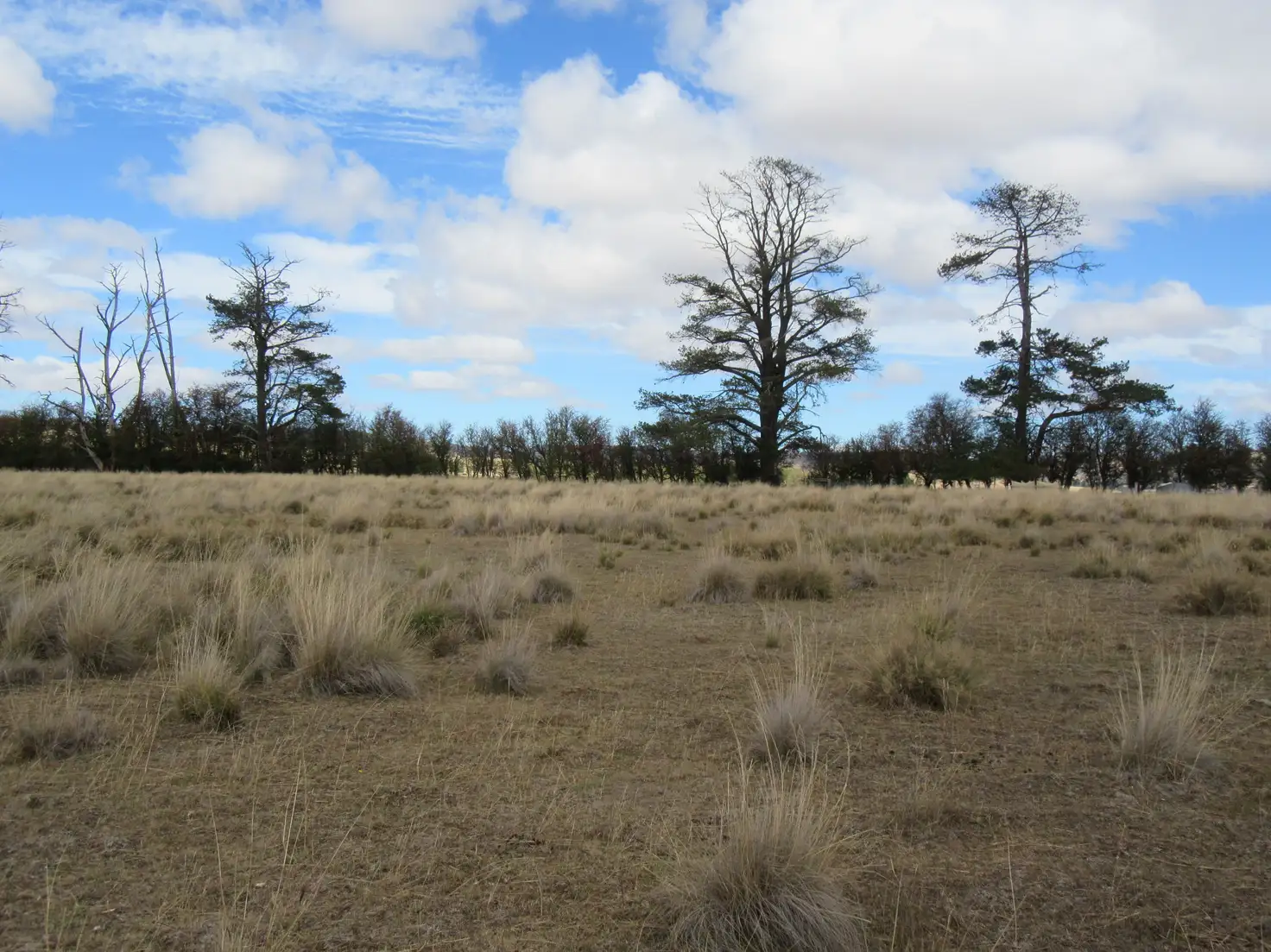 Main view of Homely land listing, 2 Surrey Park Court, STONEHENGE, Glen Innes NSW 2370