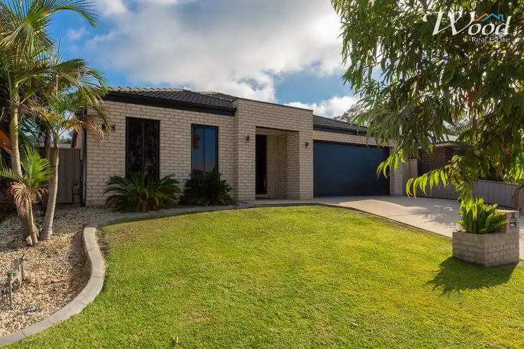 Main view of Homely house listing, 31 Chafia Place, Lavington NSW 2641