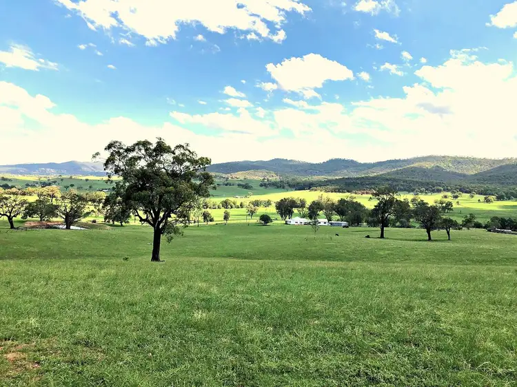 Main view of Homely rural property listing, 662 Upper Dartbrook Road, Scone NSW 2337