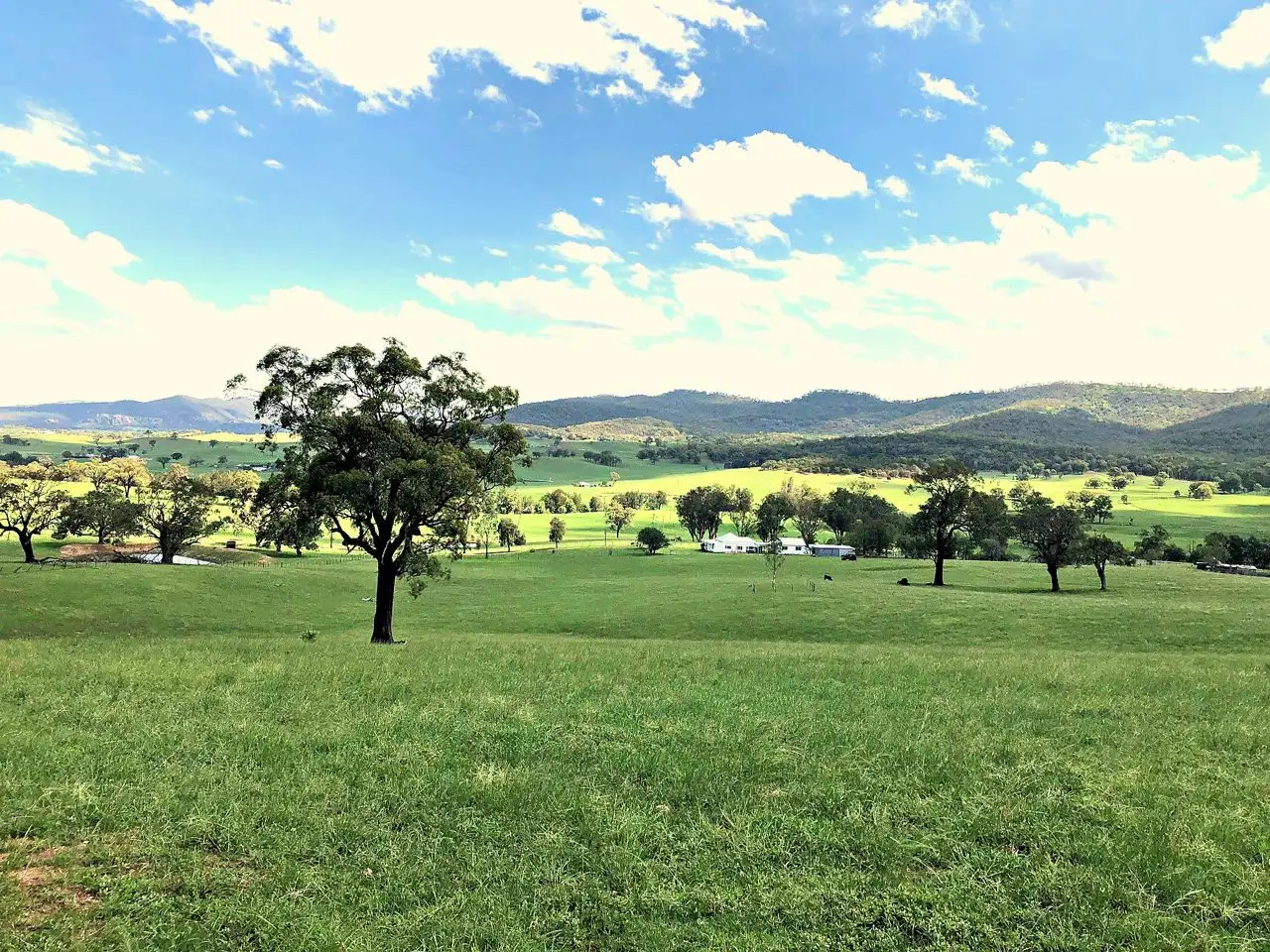 Main view of Homely rural property listing, 662 Upper Dartbrook Road, Scone NSW 2337