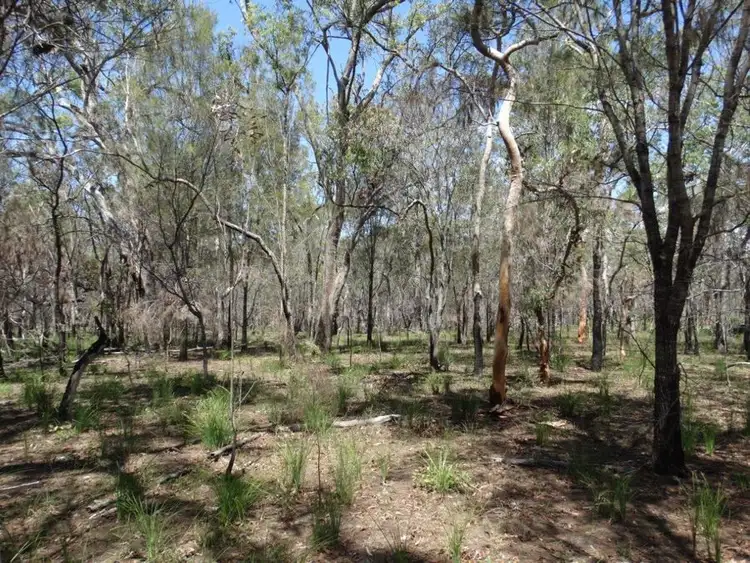Second view of Homely rural property listing, Lot 102 Capricornia Drive, Deepwater QLD 4674