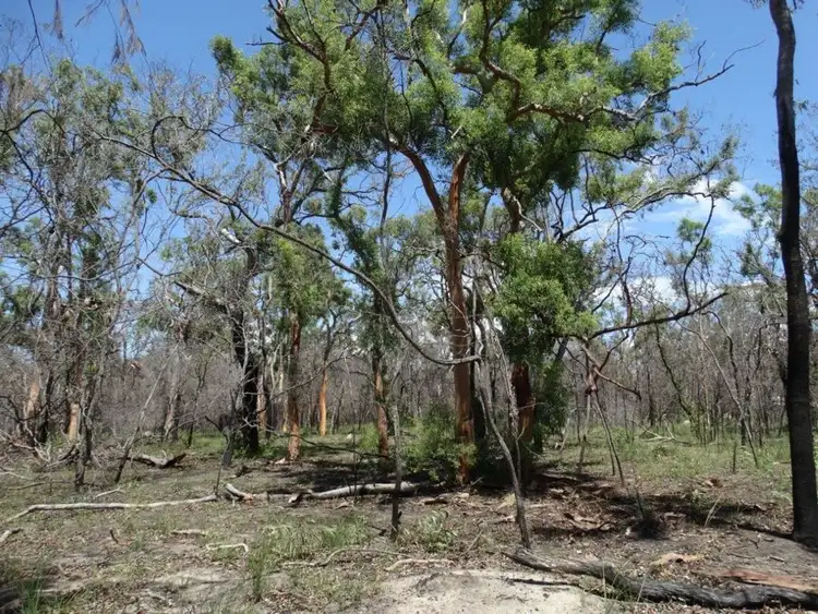 Third view of Homely rural property listing, Lot 102 Capricornia Drive, Deepwater QLD 4674
