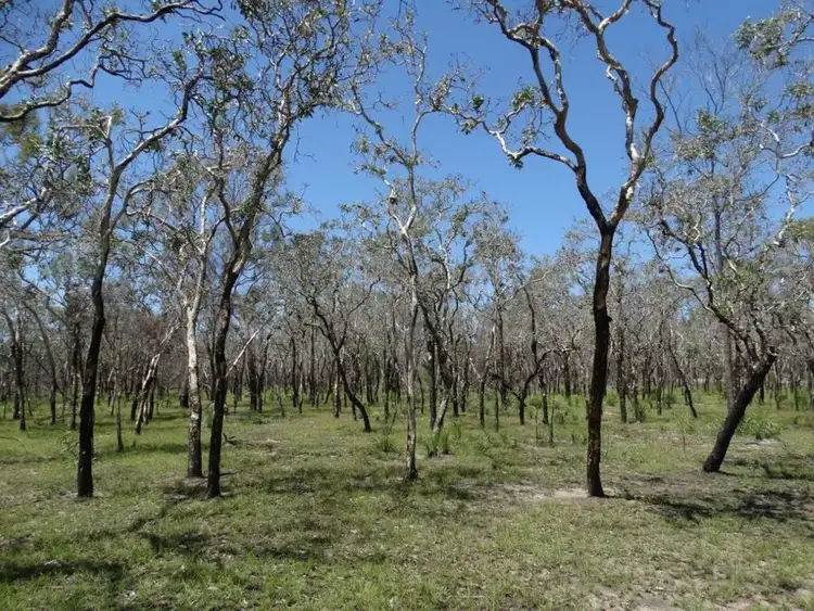 Fourth view of Homely rural property listing, Lot 102 Capricornia Drive, Deepwater QLD 4674