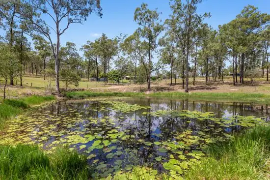 Sixth view of Homely rural property listing, 138 Virginia Way, Logan Village QLD 4207