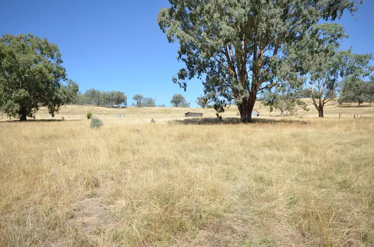 Vacant Land Oakenville Creek Road, Nundle NSW 2340