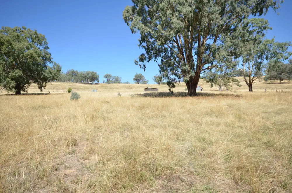 Main view of Homely land listing, Vacant Land Oakenville Creek Road, Nundle NSW 2340