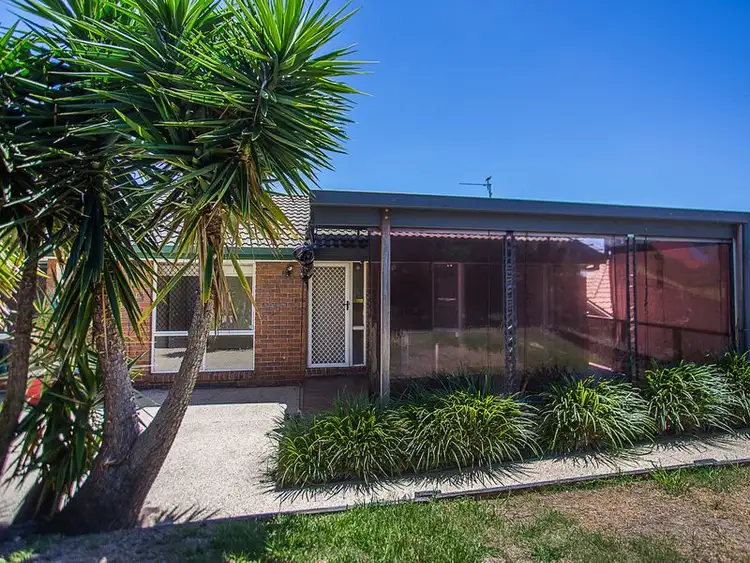 Main view of Homely house listing, 16 Nandina Terrace, Banora Point NSW 2486