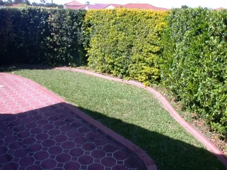 Sixth view of Homely semi-detached listing, 1/15 Avondale Drive, Banora Point NSW 2486