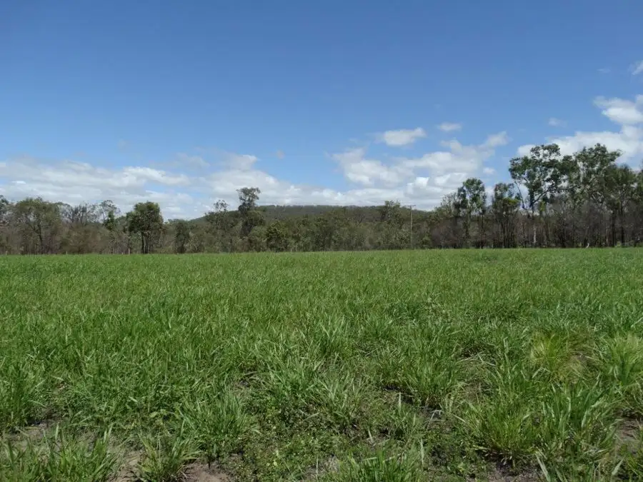 Main view of Homely rural property listing, 340 Matchbox Road, Deepwater QLD 4674