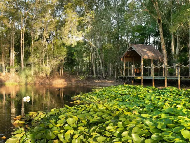 Third view of Homely house listing, 220 Charleton Street, Chandler QLD 4155