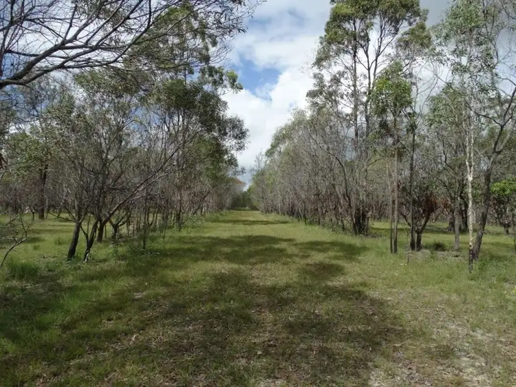 Sixth view of Homely rural property listing, 334 Pacific Drive, Deepwater QLD 4674