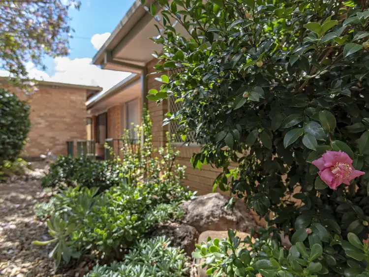 6 Lupin Court, Centenary Heights QLD 4350