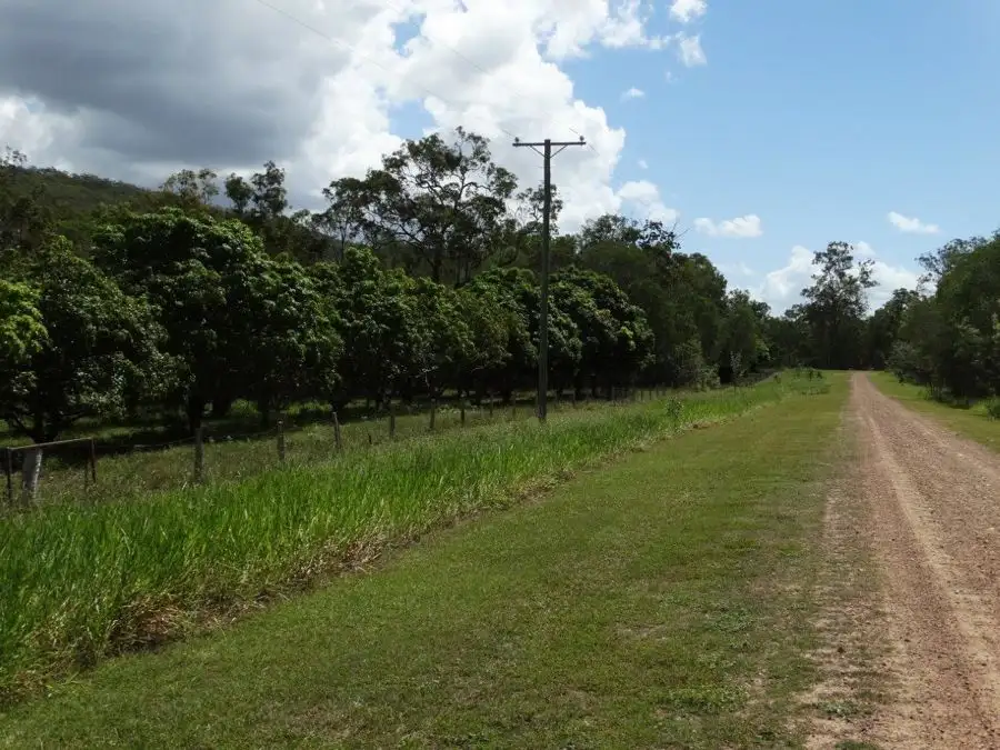 Main view of Homely rural property listing, 497 Muller Road, Baffle Creek QLD 4674