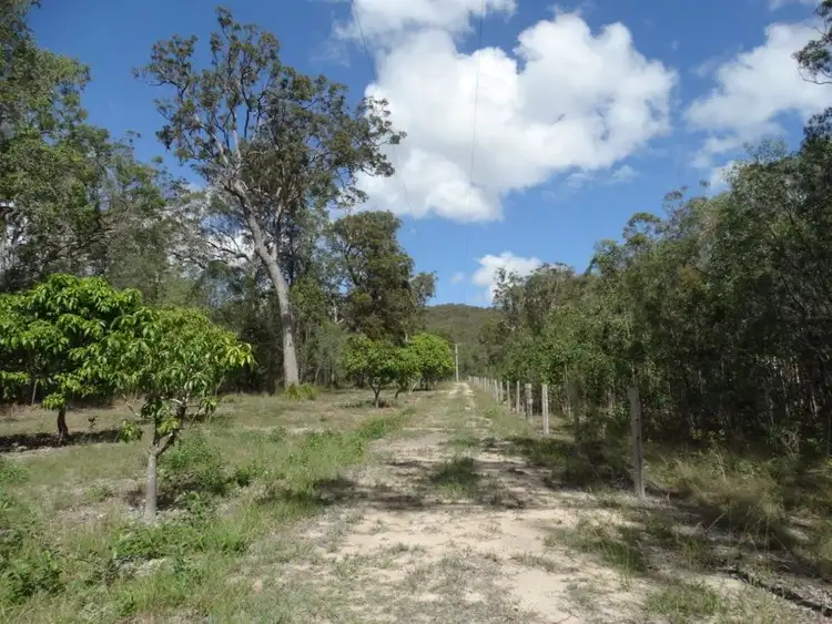 Third view of Homely rural property listing, 497 Muller Road, Baffle Creek QLD 4674