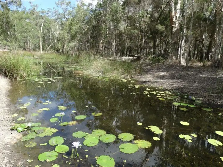 Fourth view of Homely rural property listing, 497 Muller Road, Baffle Creek QLD 4674