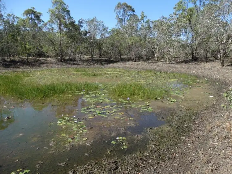 Third view of Homely rural property listing, 84 Newtons Road, Rosedale QLD 4674