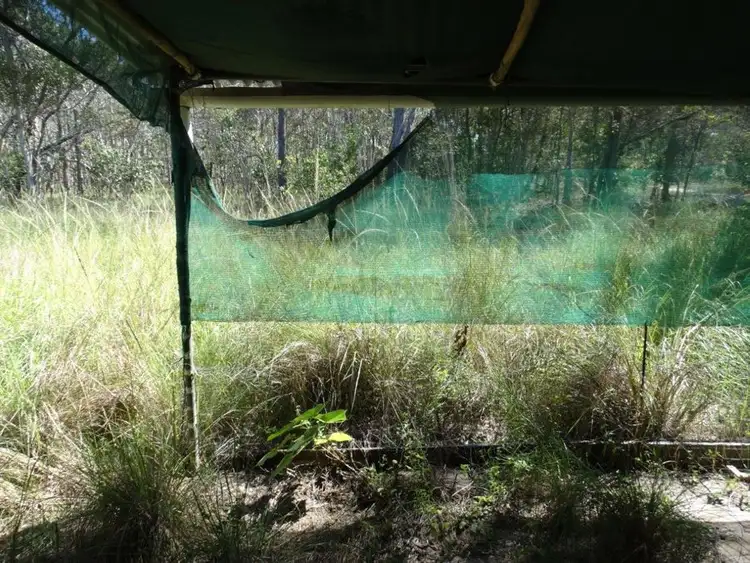 Sixth view of Homely rural property listing, 84 Newtons Road, Rosedale QLD 4674