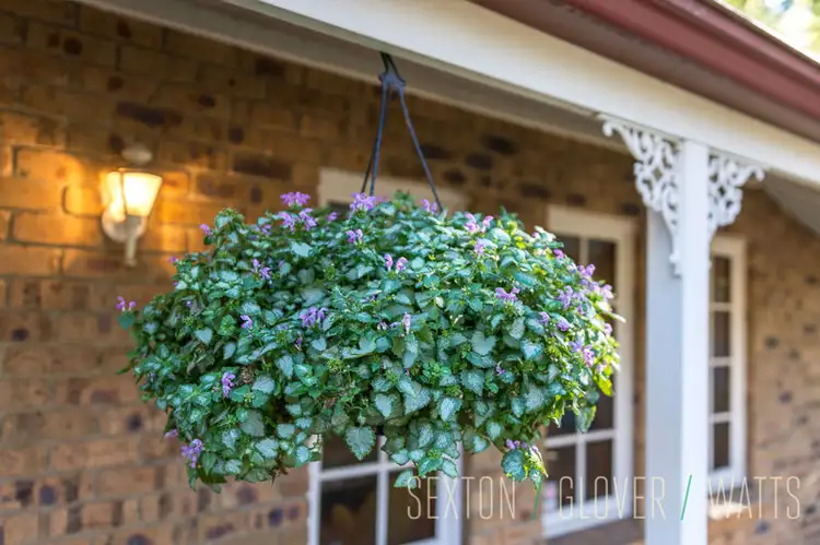 Second view of Homely house listing, 1/13 Bernhardt Court, Mount Barker SA 5251