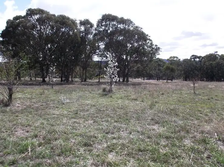 Fourth view of Homely house listing, 358 Eukey Road, Stanthorpe QLD 4380