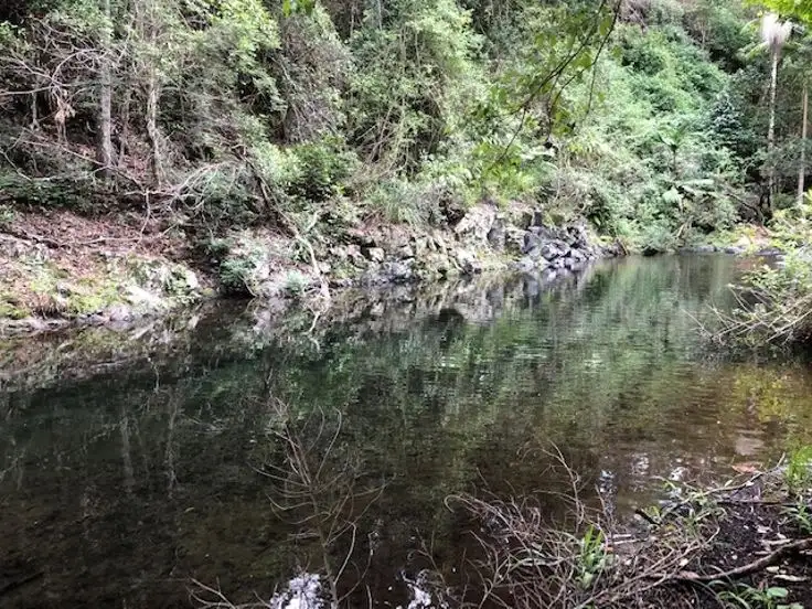 Second view of Homely rural property listing, 2226 Collins Creek Road - Collins Creek, Kyogle NSW 2474