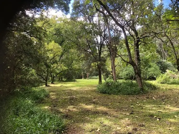 Third view of Homely rural property listing, 2226 Collins Creek Road - Collins Creek, Kyogle NSW 2474
