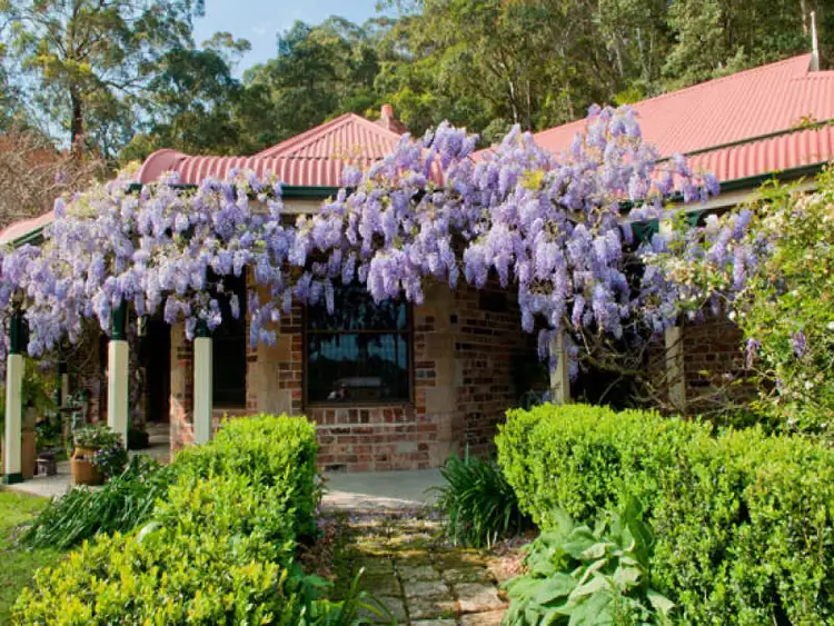 Main view of Homely rural property listing, 37 Murina Close, Holgate NSW 2250