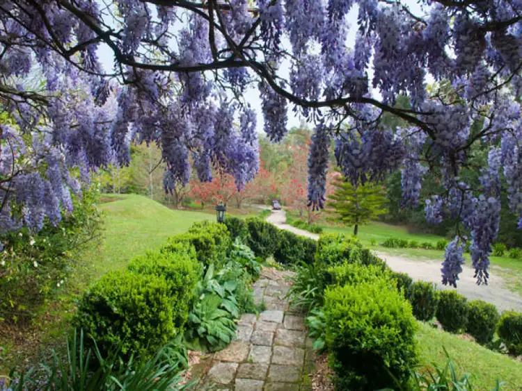 Second view of Homely rural property listing, 37 Murina Close, Holgate NSW 2250