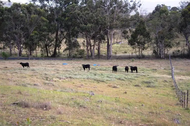 Fifth view of Homely land listing, 692 Billirimba Road, Tenterfield NSW 2372