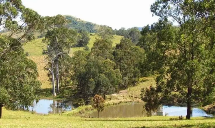 Second view of Homely rural property listing, 133 James Cowan Road, Firefly NSW 2429