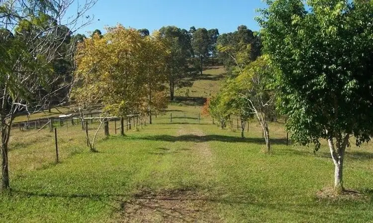 Third view of Homely rural property listing, 133 James Cowan Road, Firefly NSW 2429