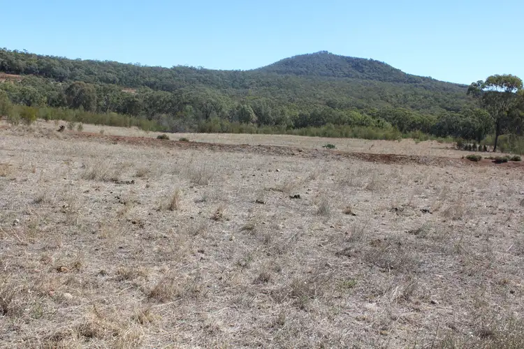 Fifth view of Homely rural property listing, Part "Arcadia", Bellata NSW 2397