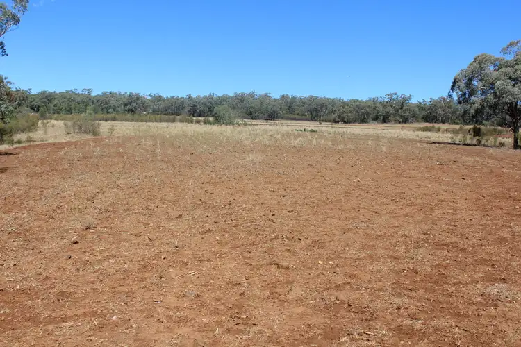 Seventh view of Homely rural property listing, Part  "Arcadia", Bellata NSW 2397